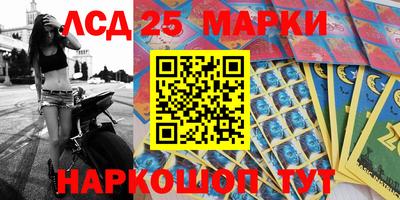 гидропоника Будённовск